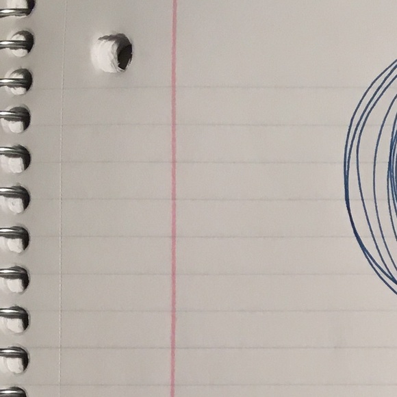 Meet your Posher, Shelby - Picture 1 of 1